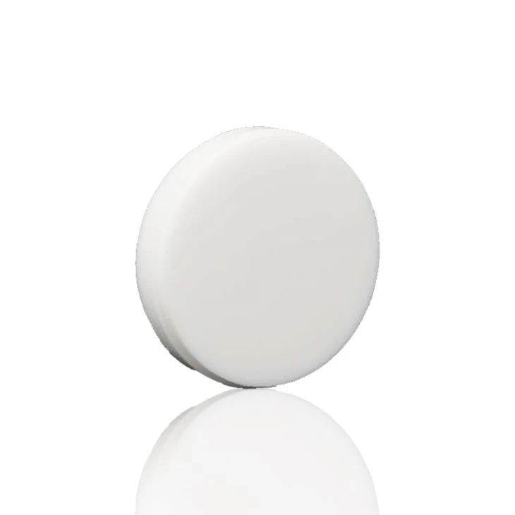 Dental PMMA Blank